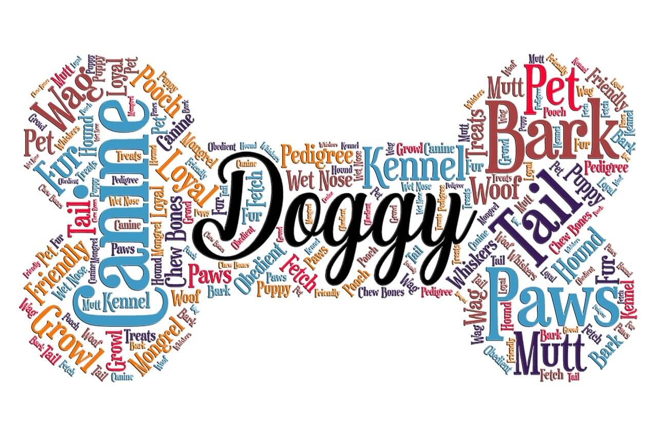 wordart, dog, bone