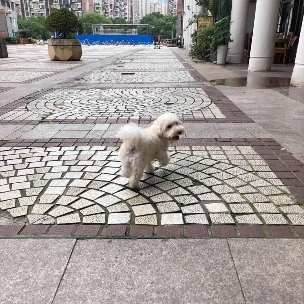 UMEinShanghai