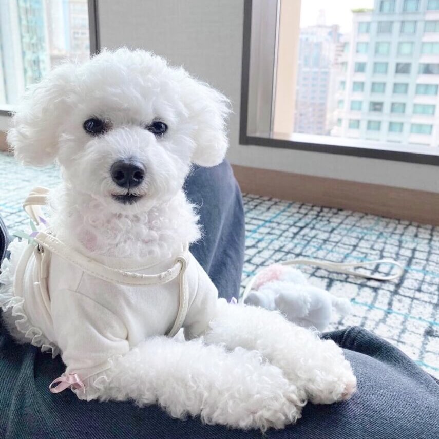 BEBEちゃん