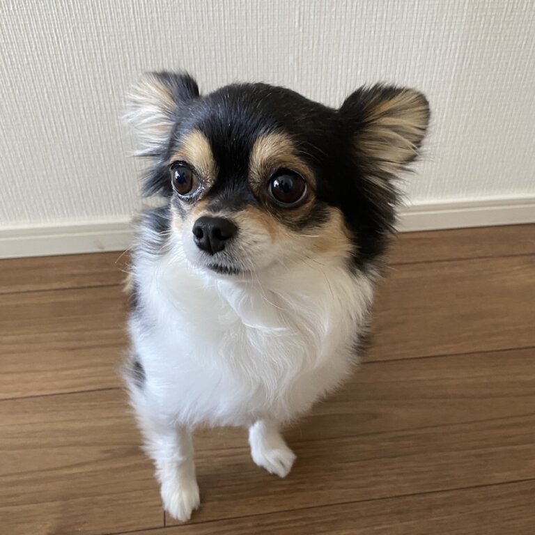 FUKU