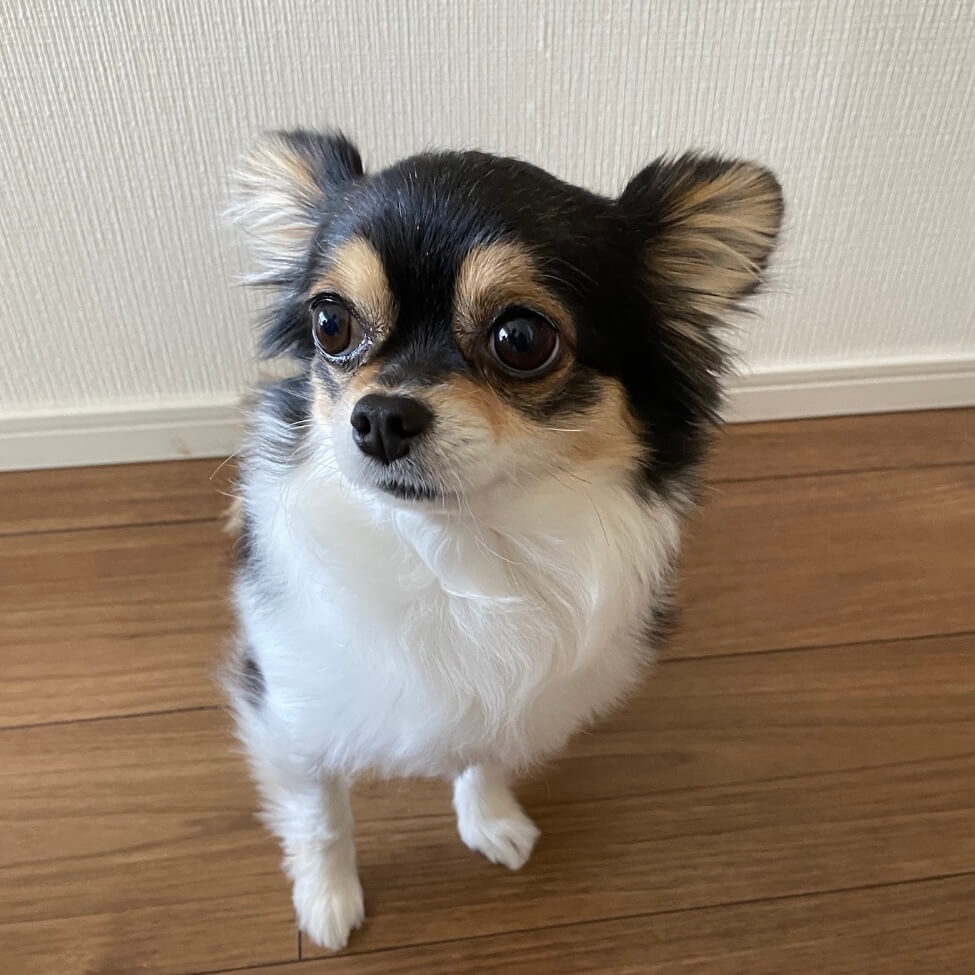 FUKU