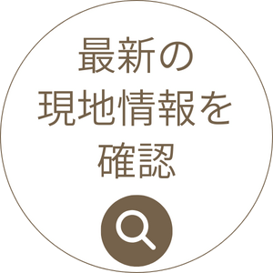 現地情報確認