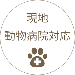 現地病院対応B