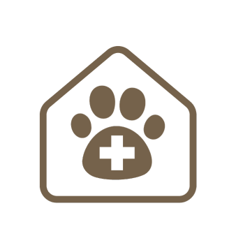 動物病院