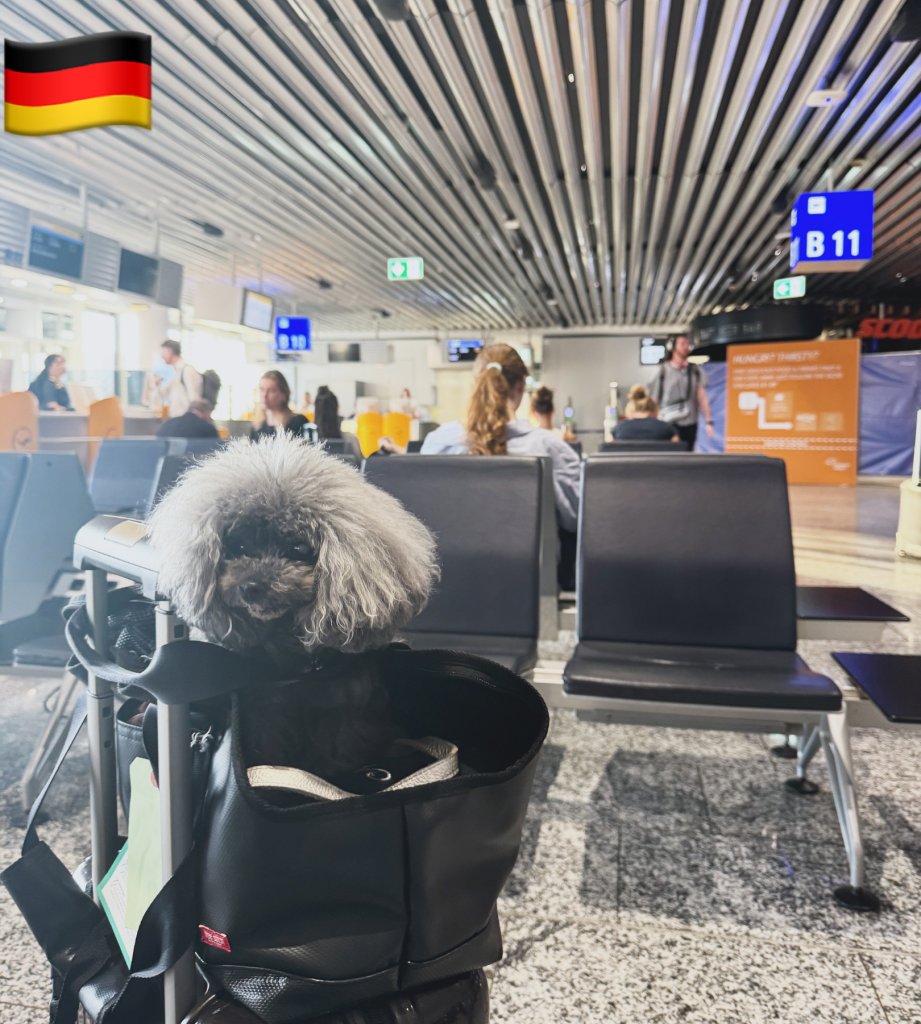 Frankfurt AP